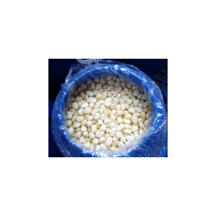 Salted Garlic in 50kg Drums (2)