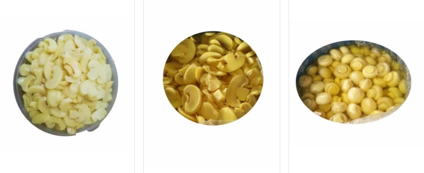 Saltningsmetod för saltad svamp