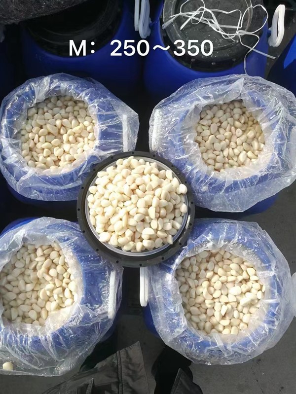 Kinesisk vitlök i saltlake i fat